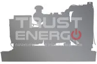 Электроагрегат дизельный TRUSTENERGO АД-200С-T400-1Р-WG